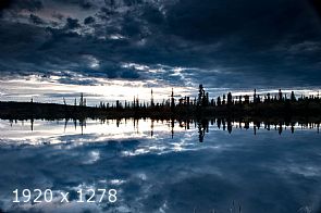 reflected word #5