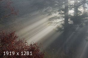 maybe ... light