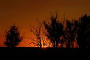 sunset @ billabong in the Kakadu National Park