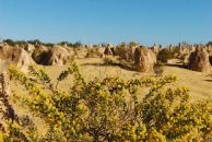 pinnacles desert #3