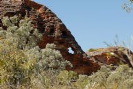 elephant rock