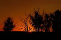 sunset @ billabong in the Kakadu National Park