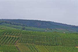 lines #2
