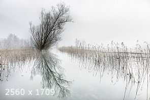 a lake like a mirror