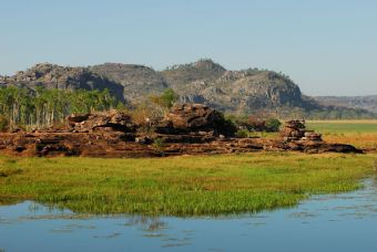 in the arnhem land