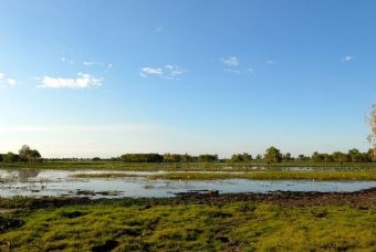 in the yellow river's rivers