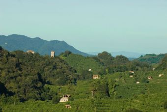 le colline del prosecco #2