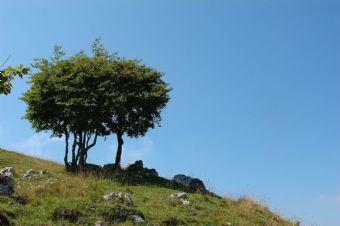 una piacevole giornata