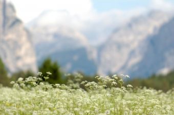 il silenzio mormorante