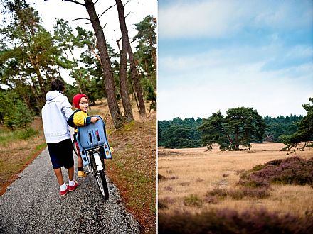 w/bike @ De Hoge Weluwe National Park #2