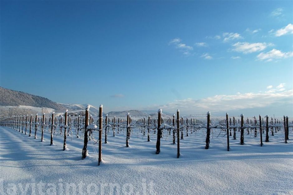 una piacevole nevicata