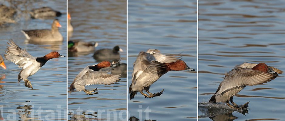 ... e di atterraggio