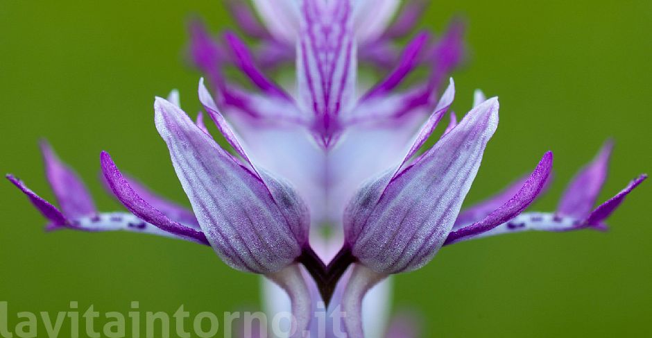 architetture improbabili