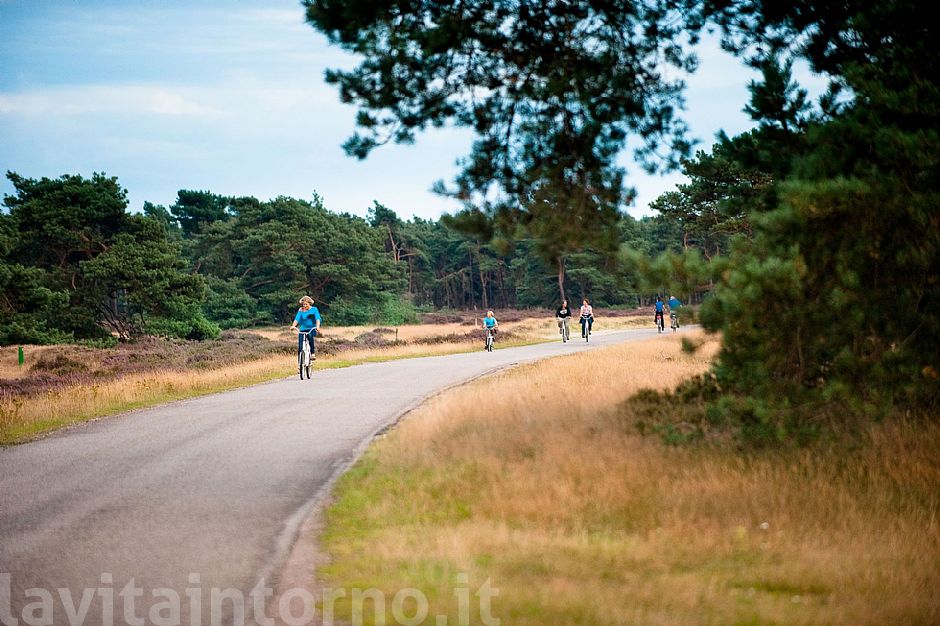 w/bike @ De Hoge Weluwe National Park