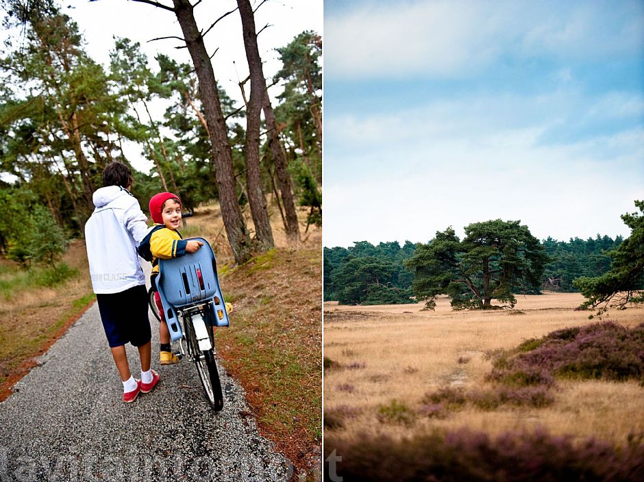 w/bike @ De Hoge Weluwe National Park #2