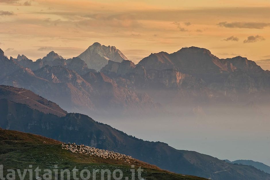 alba dal Grappa #2