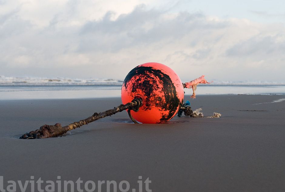 signals on the beach