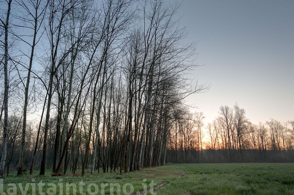 alba alla Fontane Bianche #2