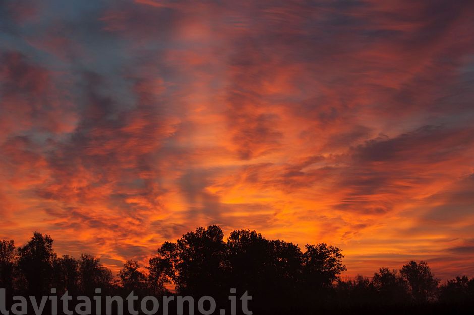 red morning