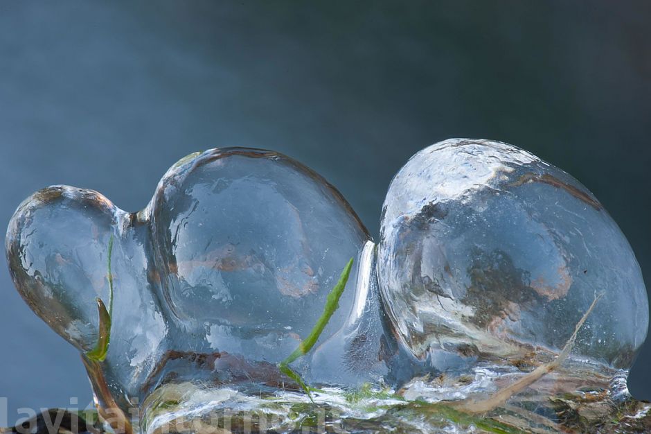 ice and grass