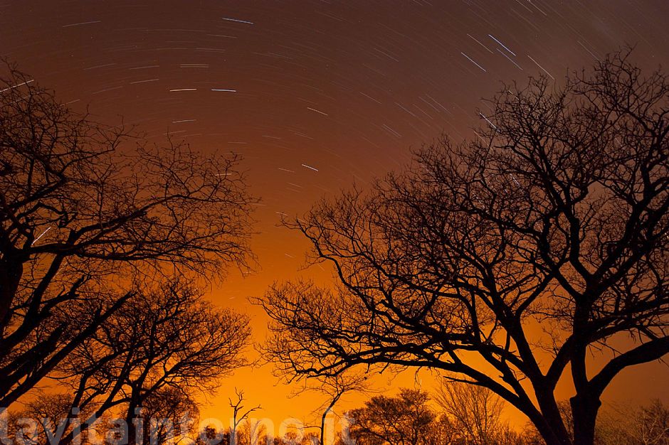 Chobe National Park: star trail