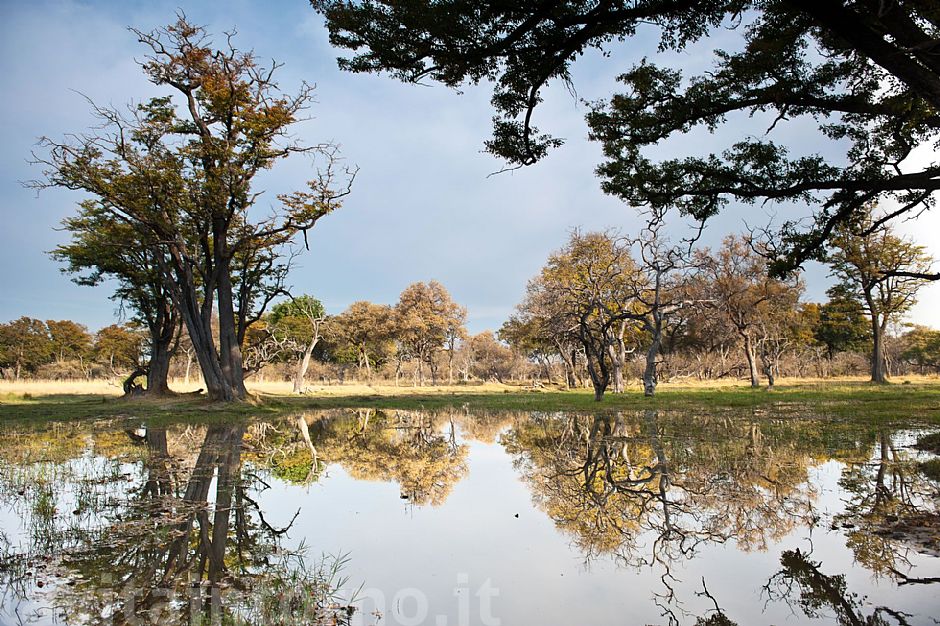 okavango delta #2