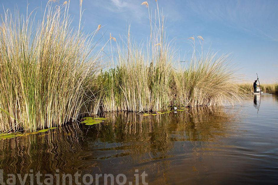 okavango delta #3