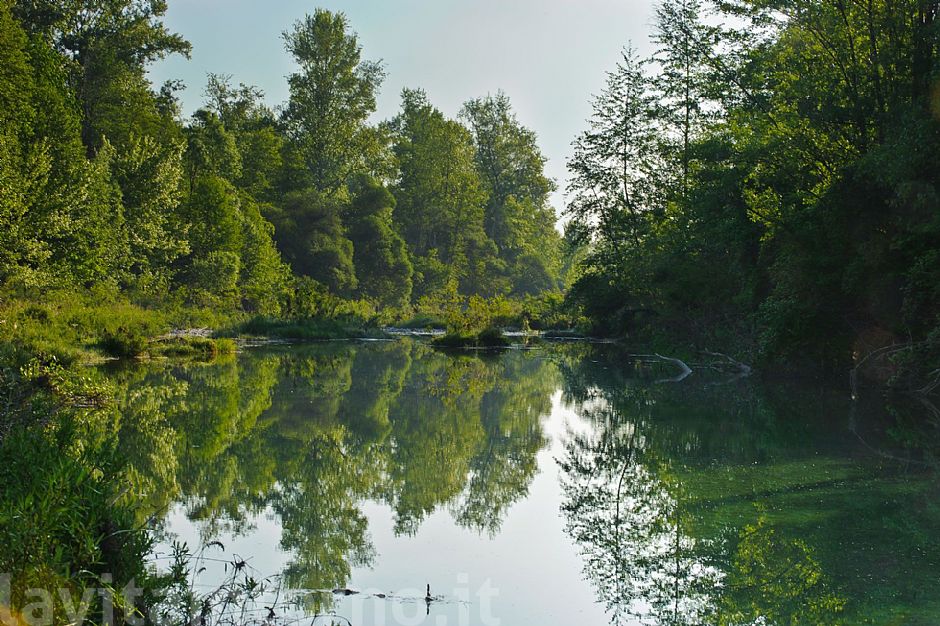 along the Piave