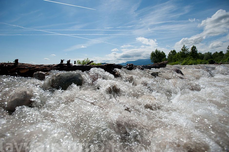 along the Piave #5