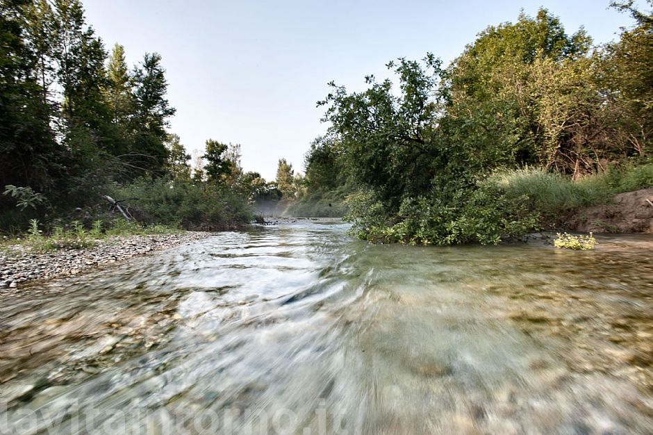 Piave - Early Morning #2