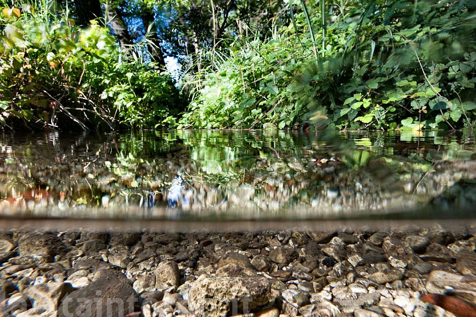 shallow water @ Fontane Bianche #4