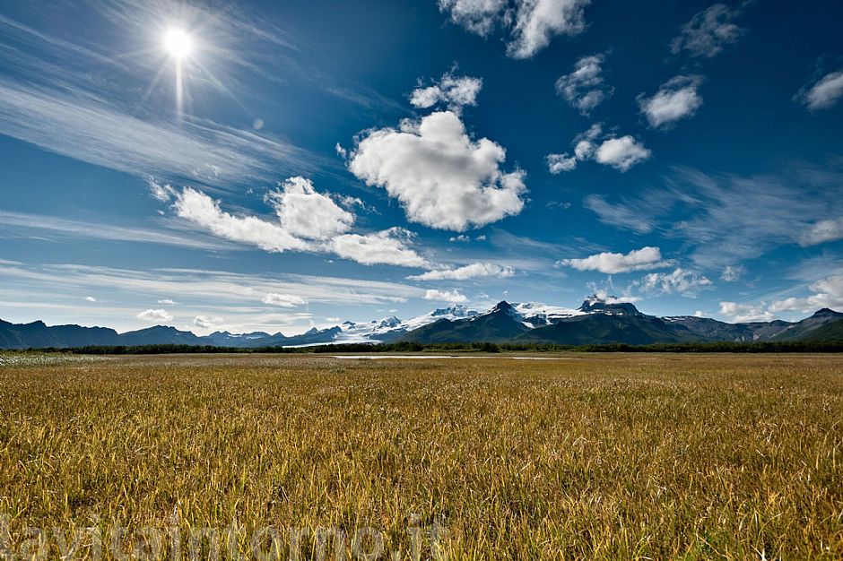 in the land of bears