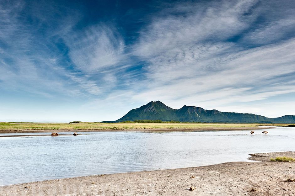 in the land of bears #2