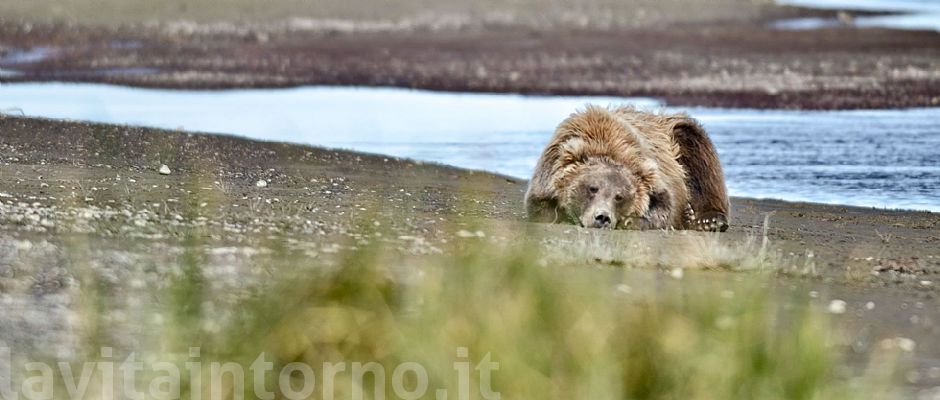 waiting disappointment