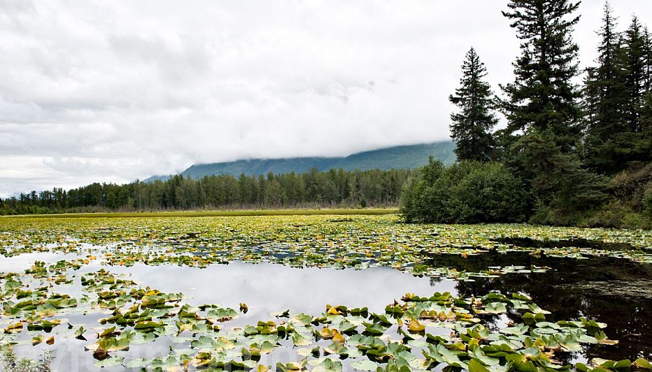 cover lake
