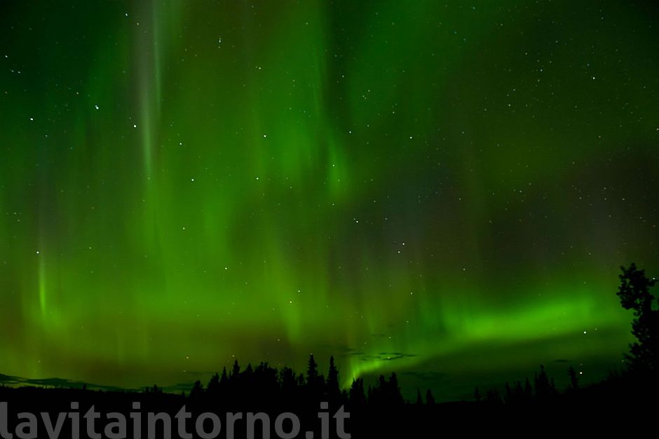 northern light #3