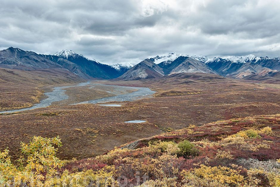 Denali NP