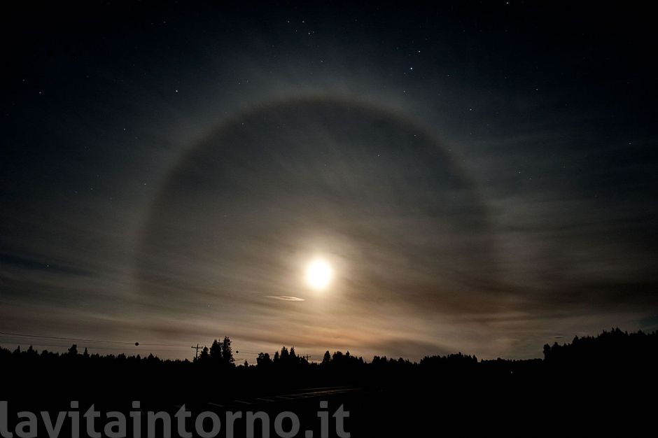 moon halo / alone lunare