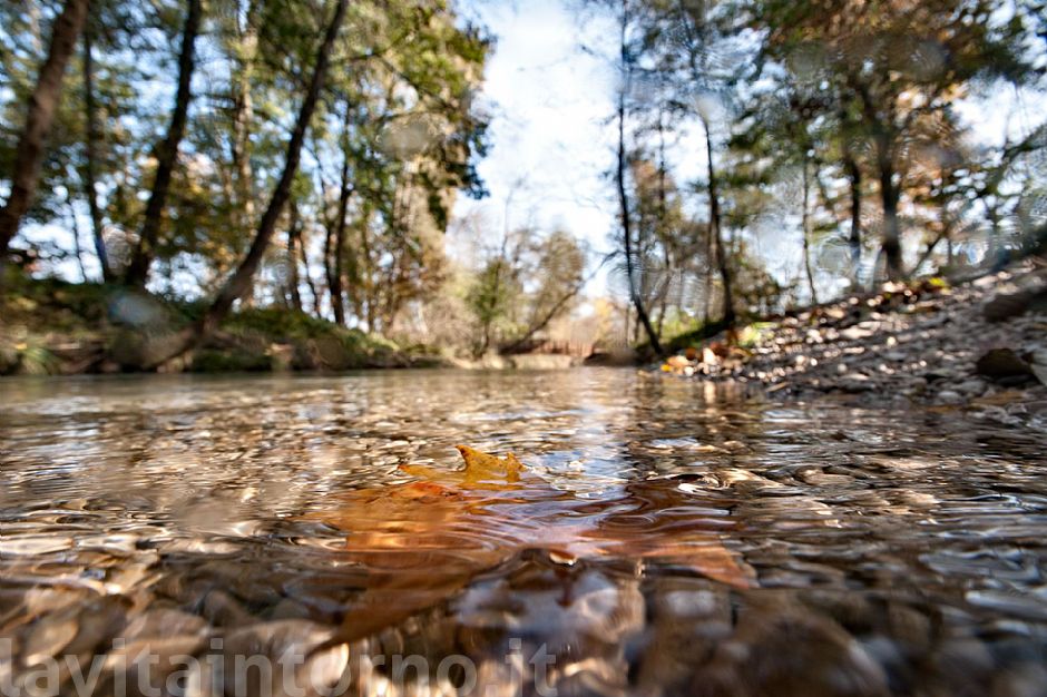 autumn @ Fontane Bianche #2