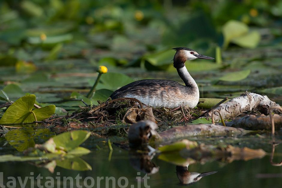 old friend of shots #2