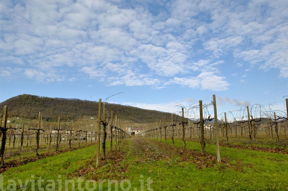 verso il lavoro #3 (quasi arrivato)