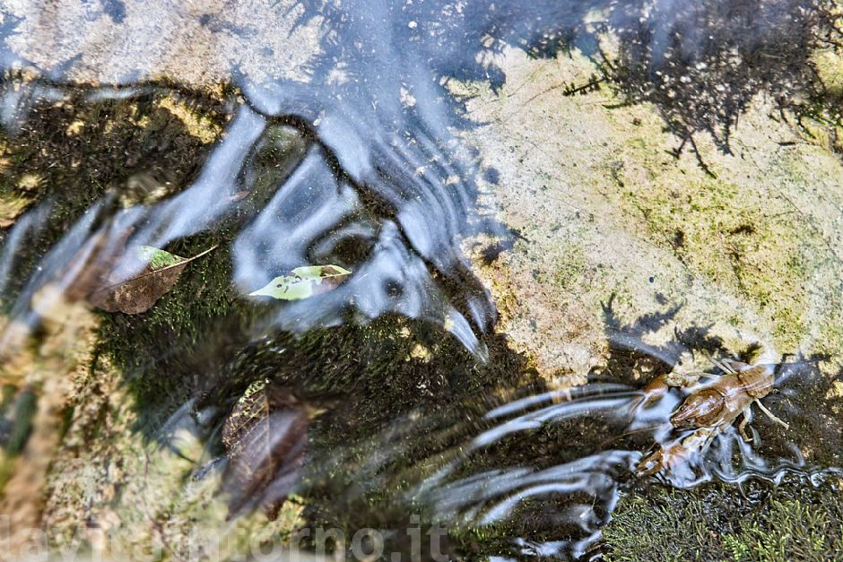 camouflaged