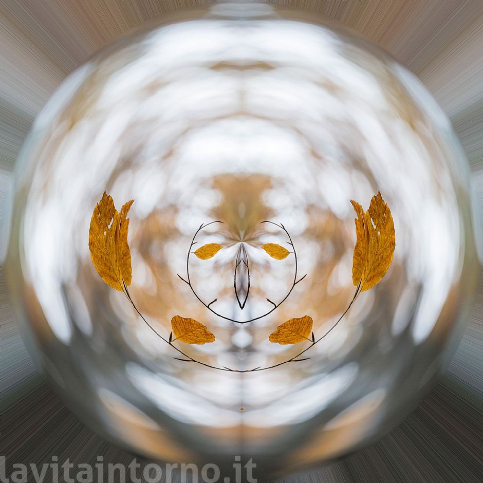 looking for a alternative brain #4