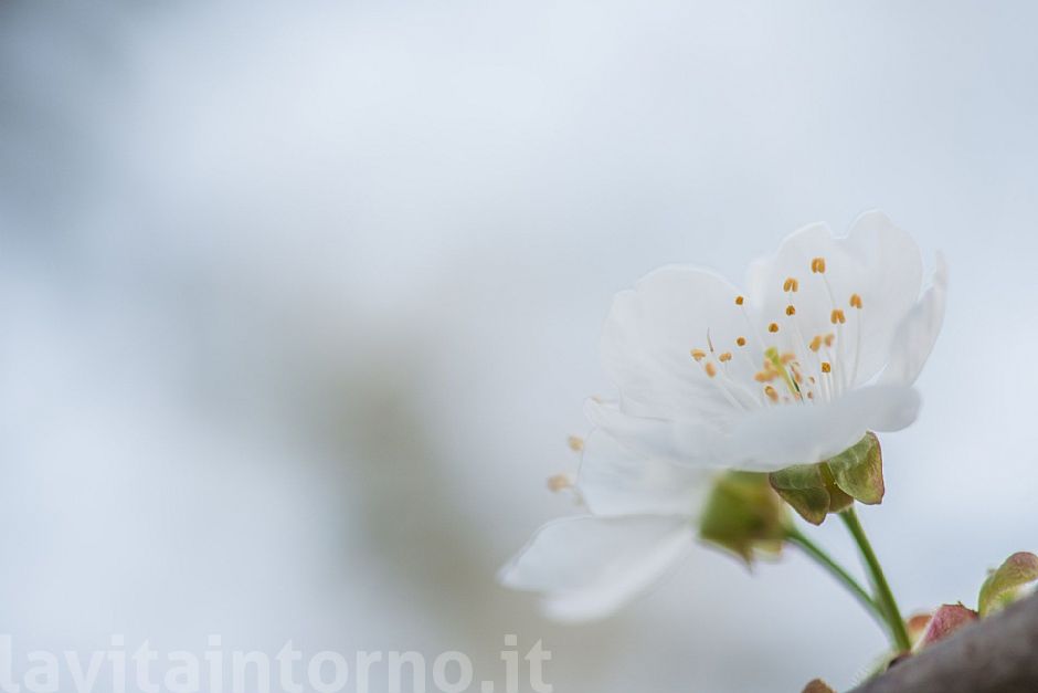 short memory of a rainy spring