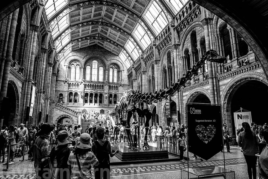 London - National History Museum