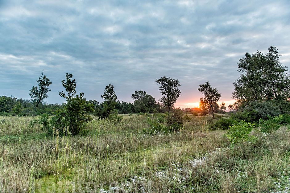 along the Piave river