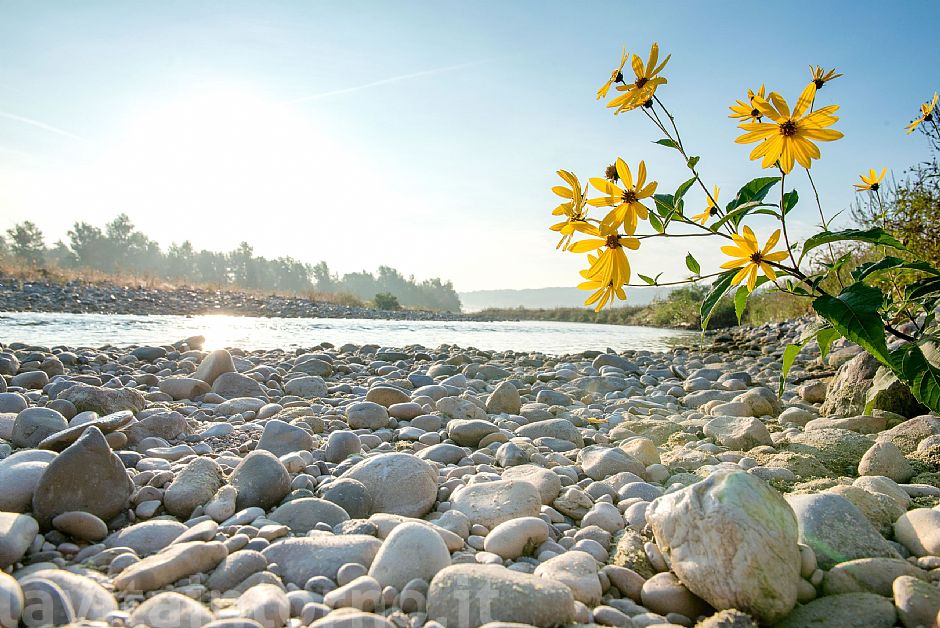 along the Piave river #3