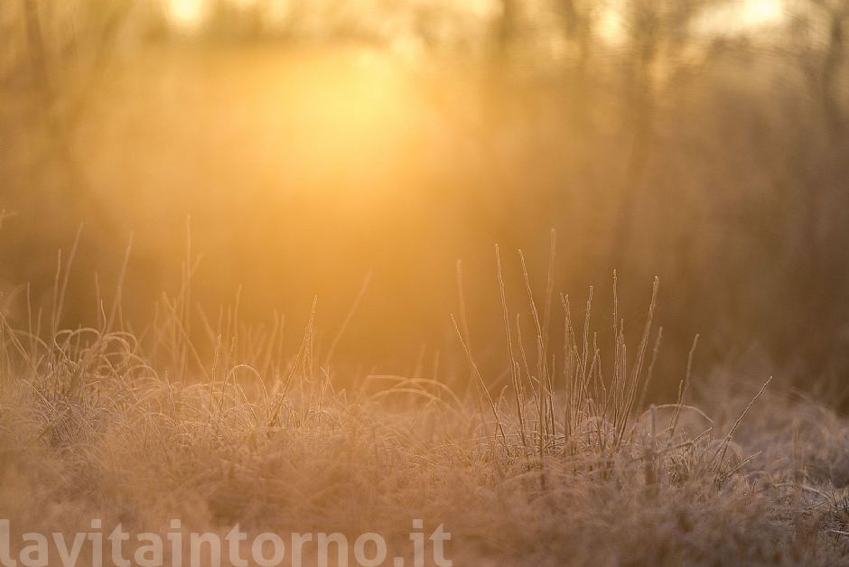 happy new year to everyone