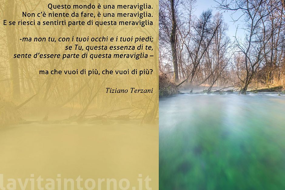 movements @ White Fountains