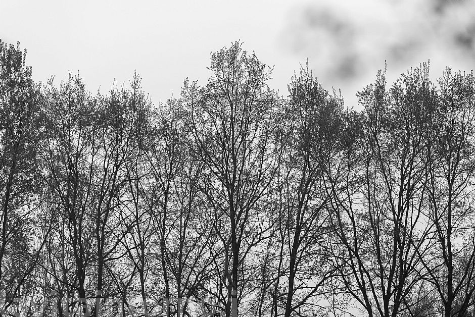 it starts all over again